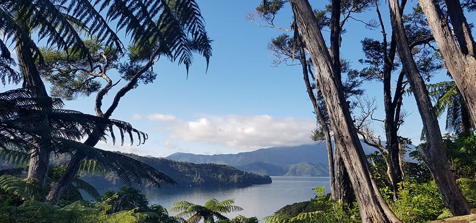 20 THINGS i DISCOVERED ON AN 11 DAY TRIP TO NEW ZEALAND